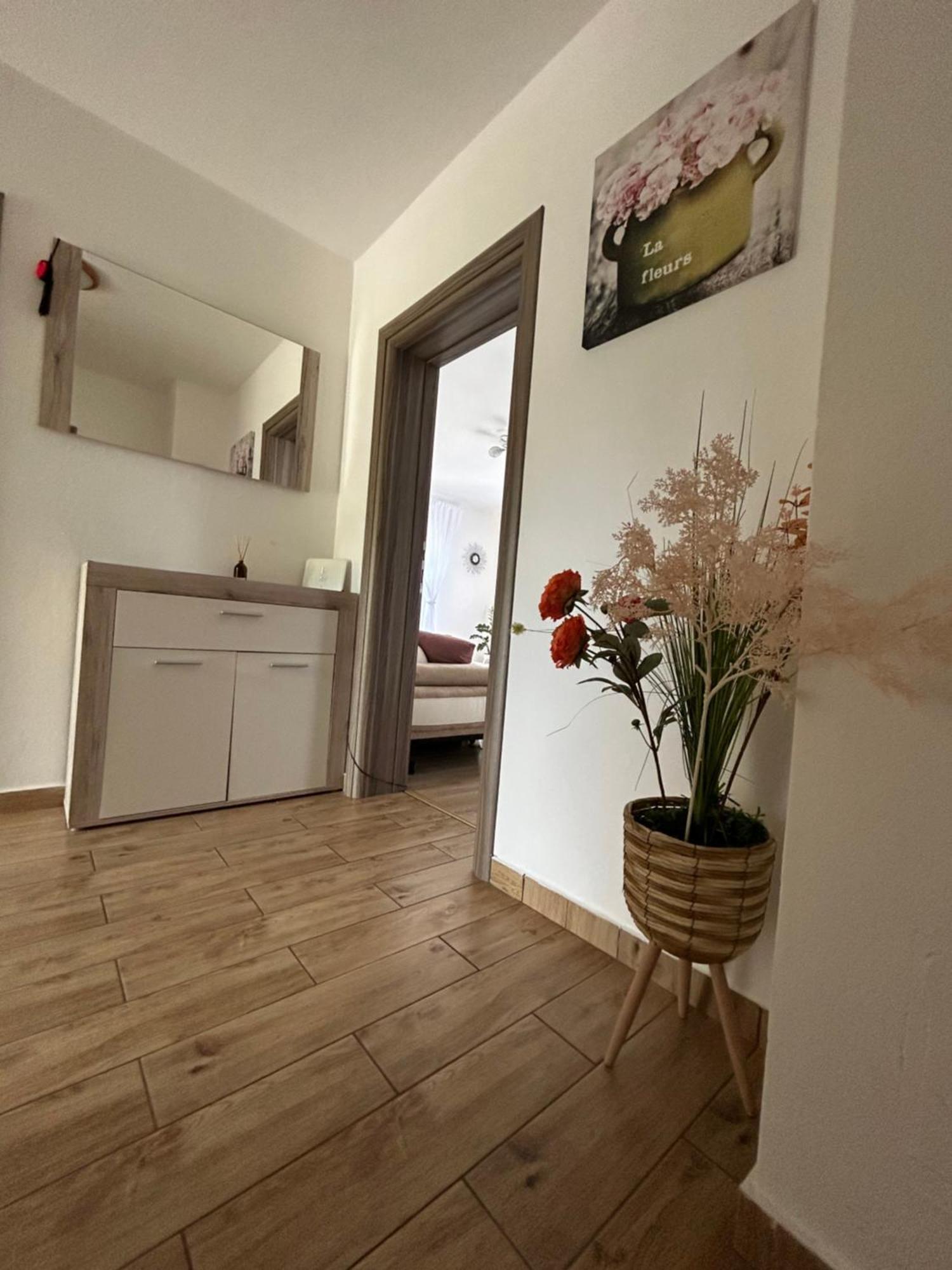 Apartments And Rooms Krizmanic Smoljanac Εξωτερικό φωτογραφία