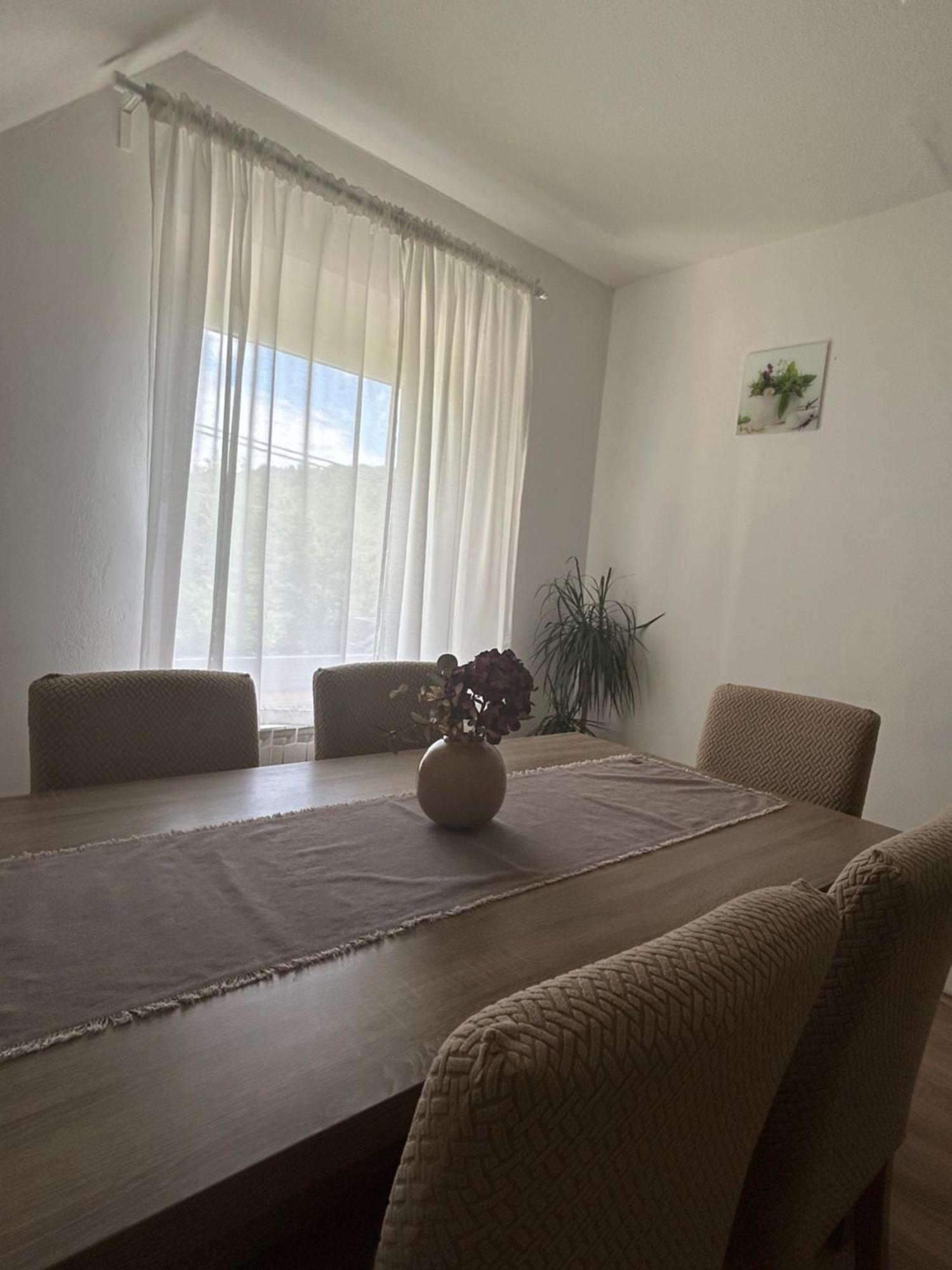 Apartments And Rooms Krizmanic Smoljanac Εξωτερικό φωτογραφία